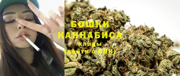 не бодяженный Ладушкин