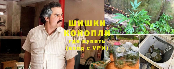 не бодяженный Ладушкин
