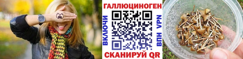Псилоцибиновые грибы Magic Shrooms  мега зеркало  Фрязино  сколько стоит 